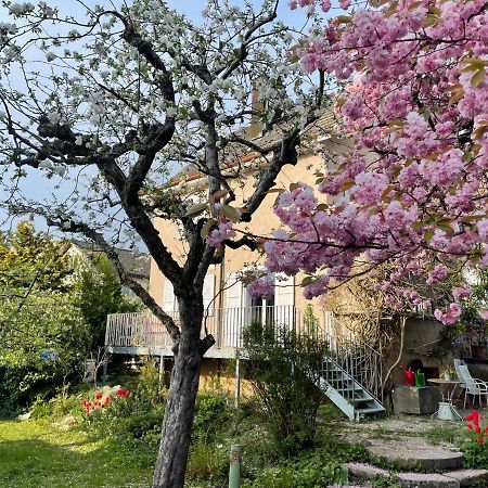 쥬츄웰 Au Jardin B&B 외부 사진