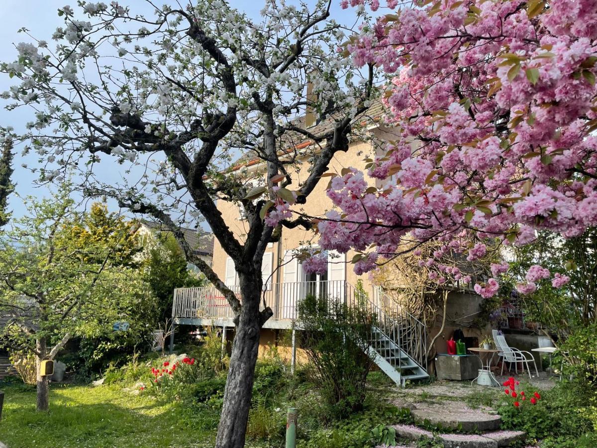 쥬츄웰 Au Jardin B&B 외부 사진