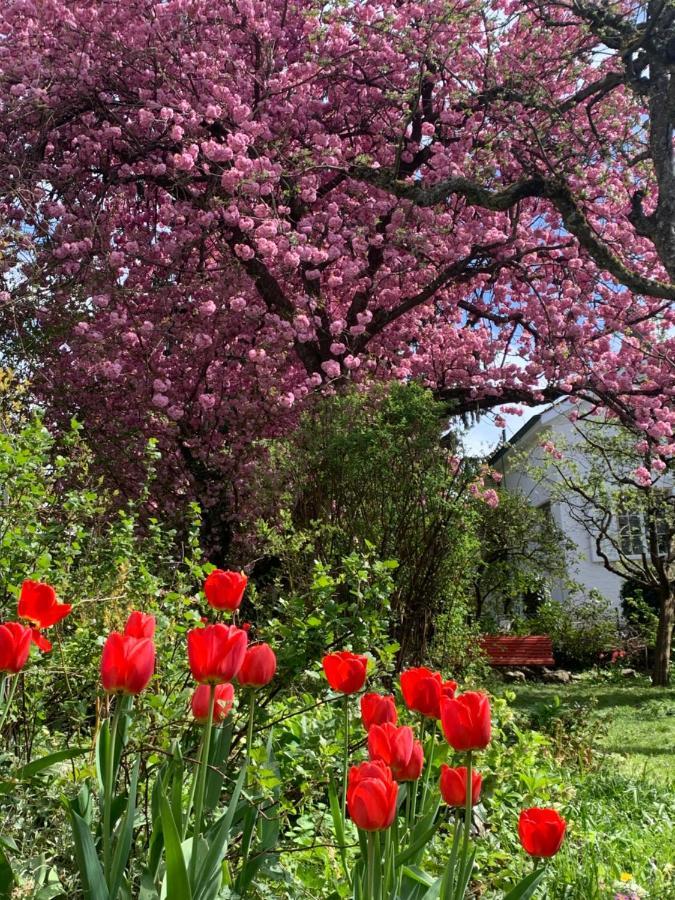 쥬츄웰 Au Jardin B&B 외부 사진